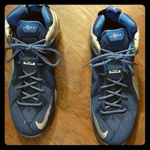 Lebron 12s (what ifs)